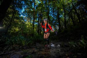 BIB: 
                            <button type="button" onclick="openModal(19240916)" class="btn btn-primary btn-sm float-right btn-popup" data-toggle="modal" data-target=".modal-high-quality">
                        <i class="fas fa-shopping-cart"></i> Add to Cart
                    </button>
                                            <button type="button" onclick="isThisMe(19240916, true)" class="btn btn-success btn-sm float-right btn-popup btn-isme hidden" data-toggle="tooltip" data-placement="bottom" title="นี่คือรูปของคุณใช่ไหม คลิกที่นี่เพื่อเอาเข้าอัลบั้ม">
                        <i class="fas fa-plus"></i> Add to album
                    </button>
                    <button type="button" onclick="isThisMe(19240916, false)" class="btn btn-warning btn-sm float-right btn-popup btn-isnotme hidden">
                        <i class="fas fa-ban"></i> Remove from album
                    </button>